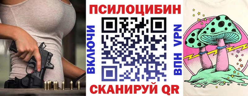 Купить  Галич  Псилоцибиновые грибы Cubensis 