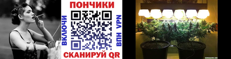 Шишки марихуана ГИДРОПОН  Купить где  Галич 